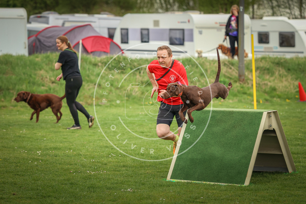 Pfotenfotografie_0L8A1136 | Hundefotografie, Tierfotograf, Pfotenfotografie, Fotoshooting Hund, Hunde Portrait, Hundesport, Hundeportraits, Heideshooting, Hunde, Sportfotograf, Hundefotograf, Turnierhundsport, THS,  - Realisiert mit Pictrs.com