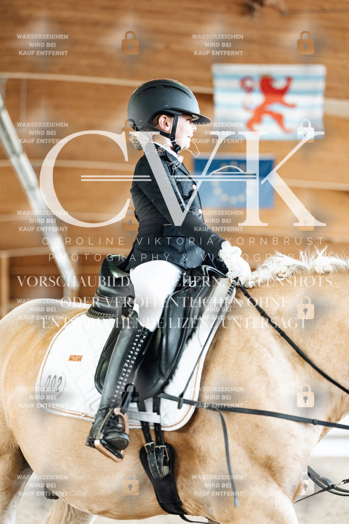 CK900249 | Turnierfotografie Pferdefotografie Trier Rheinland-Pfalz Pferdesport Reitsport Tierfotografie Sportfotografie Pferdevideo Pferdevideografie Equestrianvideography equestrianphotography  - Realized with Pictrs.com