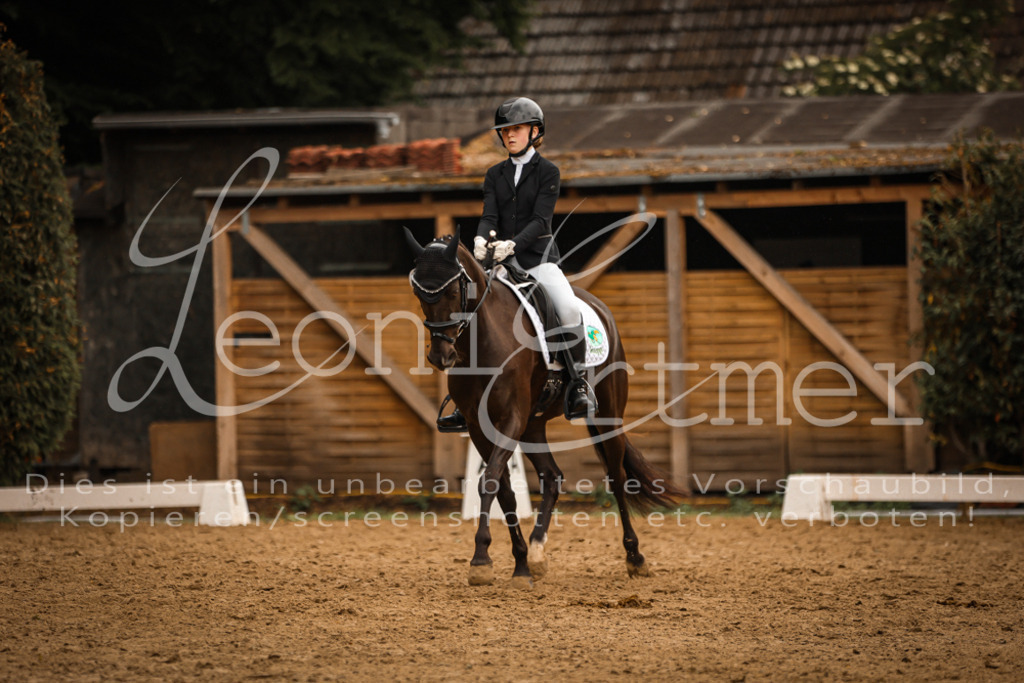 DoDrA00523 | Leoni Ertmer Photography - Realisiert mit Pictrs.com