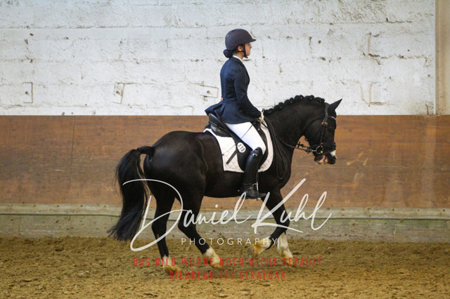 DKP44256 | Turniersportfotografie; Pferdefotografie; Dressurfotografie