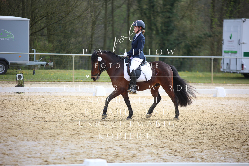 IMGT5118 | pl-fotografie