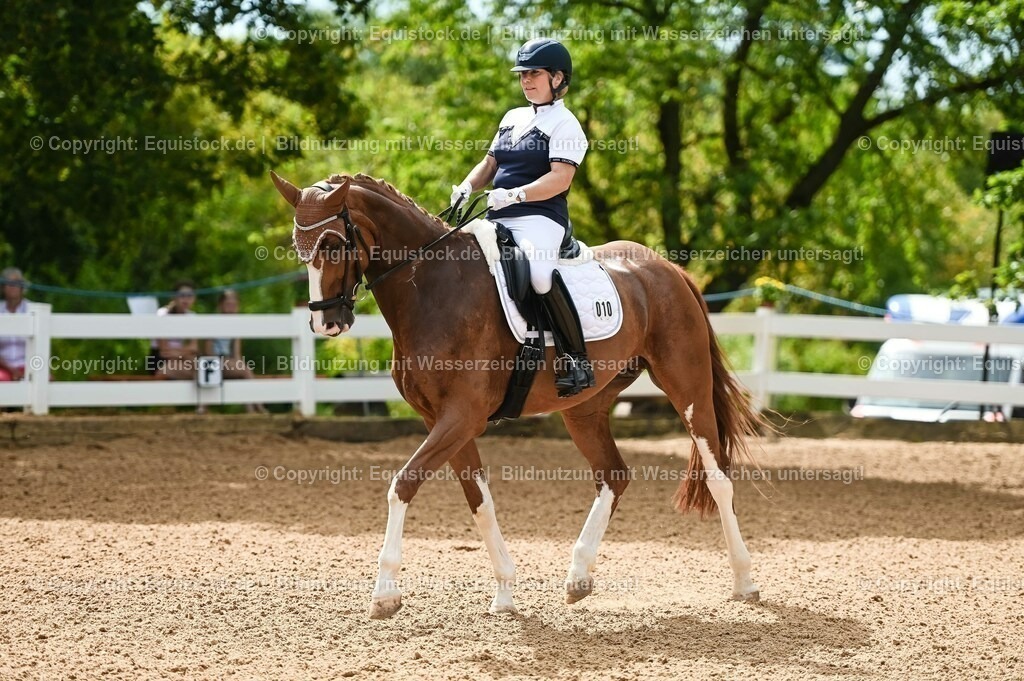20230715_07_Dressurpferdeprfg. Kl.L_0022 | equistock