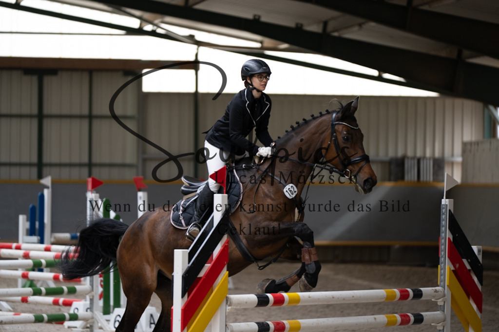 A7V07012 | Pferdefotograf