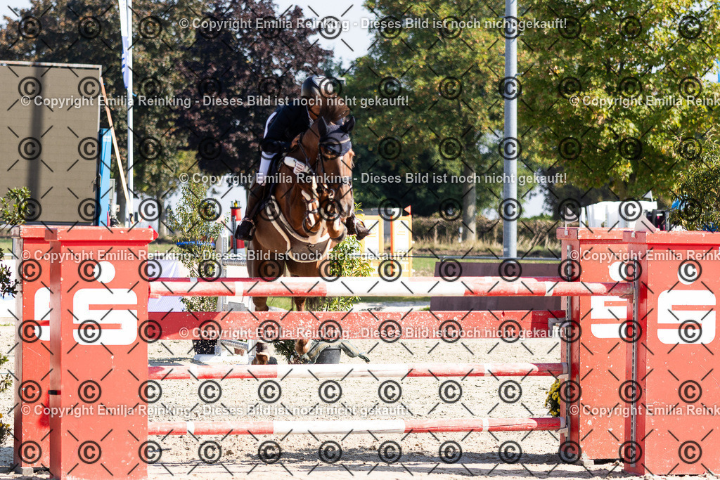 CL5A6174 | Emilia Reinking Fotografie - Realisiert mit Pictrs.com