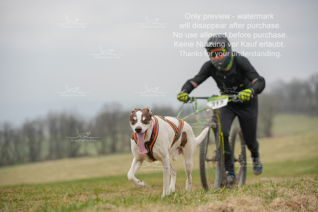 ScooterSA-68 | stephaniefillaphotographie - Realisiert mit Pictrs.com