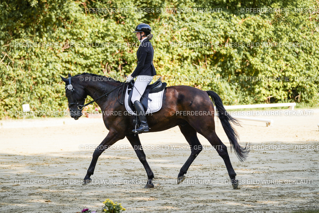 DSC08141 | Pferdegrafie