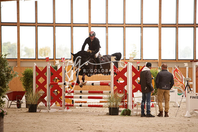 1J2A2229Paul Wiktor_ Majesta_ Kn368_ Hohen Wieschendorf_ Glantz | Foto- und Videografie für alles rund ums Pferd. Hochwertige Bilder und Videos vom Spring- und Dressurreiten, Voltigieren & mehr. Jetzt aktuelle Veranstaltungen und Preise im Shop ansehen. - Realisiert mit Pictrs.com