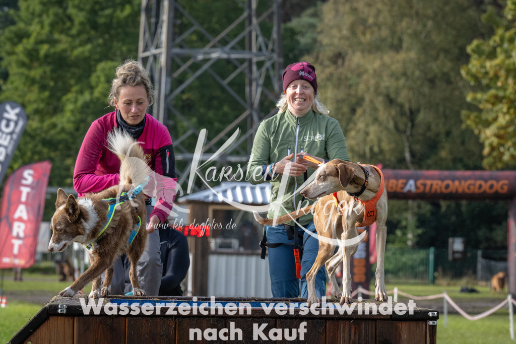 1419-94714 | kk-dogfotos