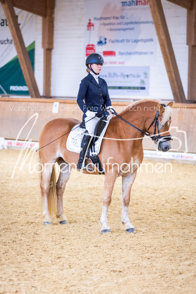 Sth-A-Dre-2St-021 | MomenTaufnahmen Pferdesportfotos
