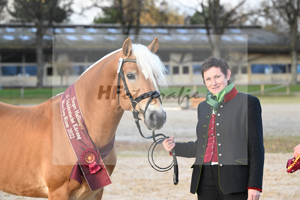 Kat-Nr. 7 Nachtprinz v. Nachtstolz_Schwarz_60221725 | hf-fotografie - Realisiert mit Pictrs.com