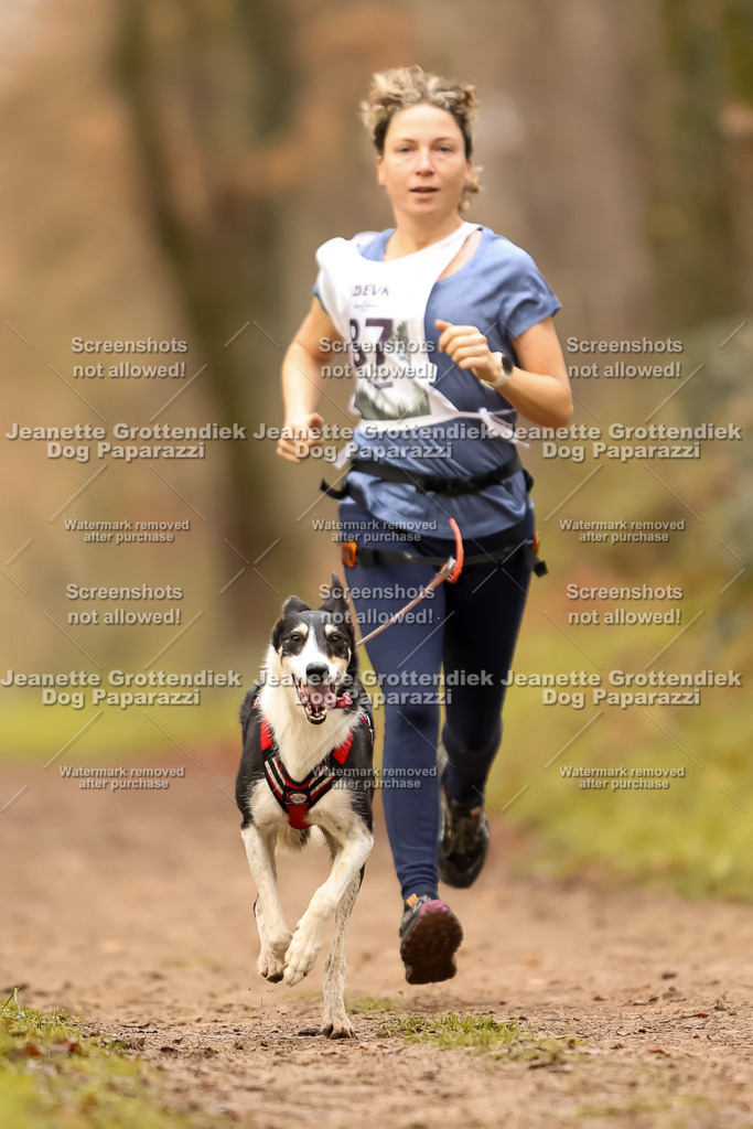 Dog Paparazzi - Speedhunter Mannheim  2025-242 | Dog Paparazzi Jeanette Grottendiek Fotografie & Videografie