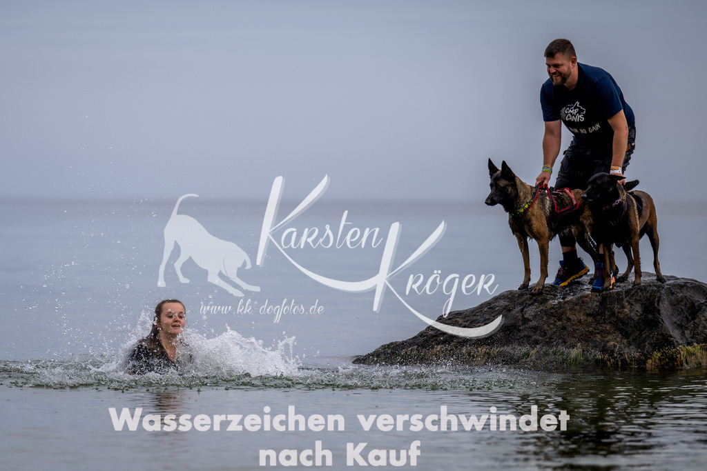 1223_ZZ91475 | kk-dogfotos