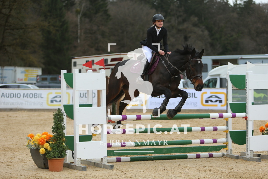 DL2Q6726 | Willkommen bei Brunnmayr - Design & Fotografie – Ihrem Spezialisten für Reitturniere und Pferdeveranstaltungen in Oberösterreich, Salzburg und Bayern! Seit über 17 Jahren sind wir leidenschaftlich dabei.