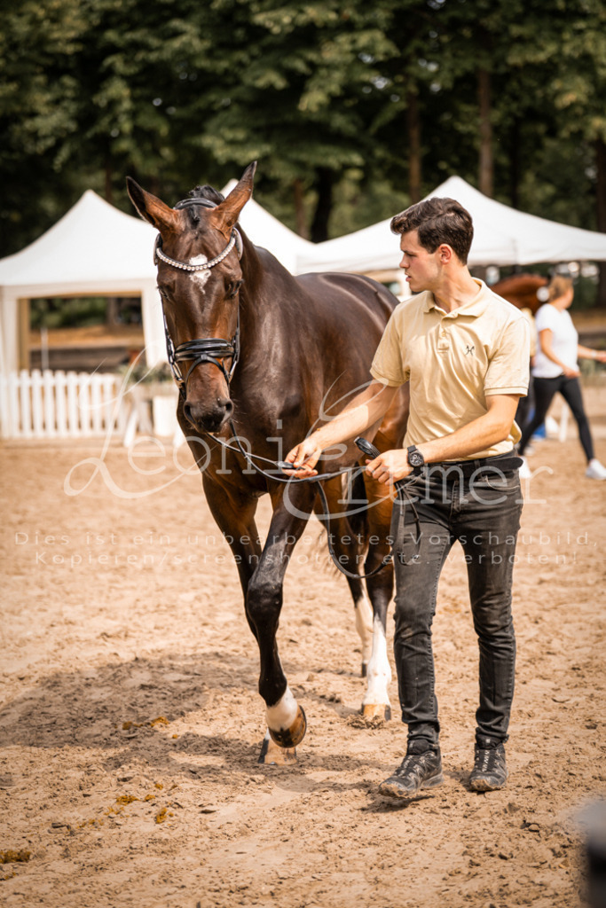 6.Fr00147 | Leoni Ertmer Photography - Realisiert mit Pictrs.com