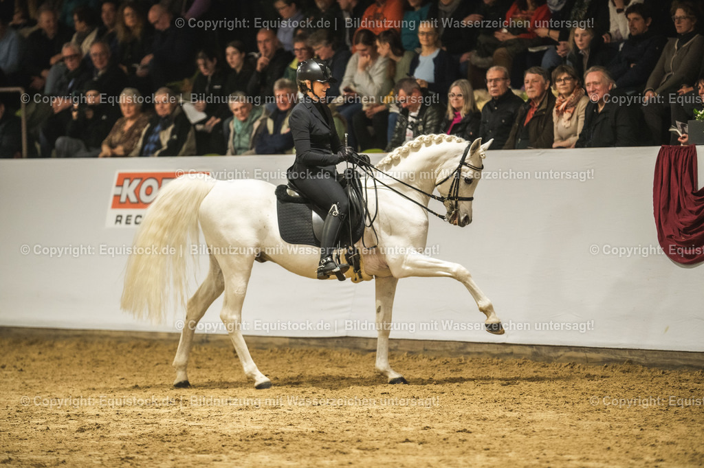 20240302_Hengstvorstellung_Marbach_TOMsPiC_1125-2 | equistock