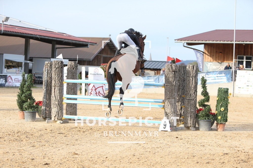 DL2Q6742 | Willkommen bei Brunnmayr - Design & Fotografie – Ihrem Spezialisten für Reitturniere und Pferdeveranstaltungen in Oberösterreich, Salzburg und Bayern! Seit über 17 Jahren sind wir leidenschaftlich dabei.