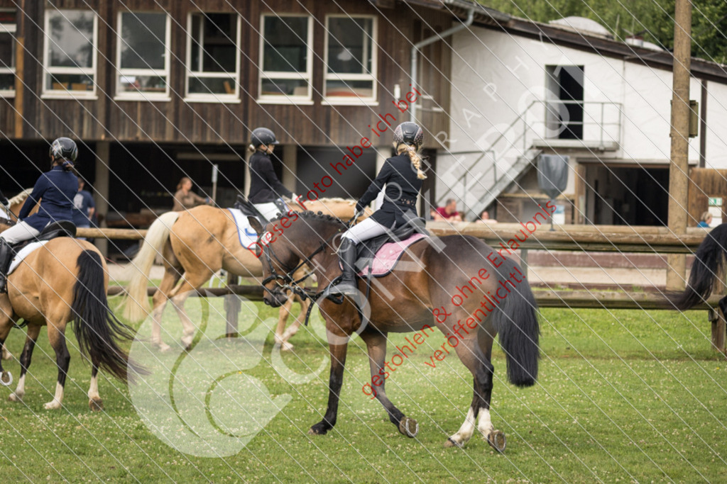 IMG_1602 | Sport-, Event- und Tierfotos in Profiqualität. Einfach auswählen, bestellen und herunterladen. Dein Moment – perfekt festgehalten.