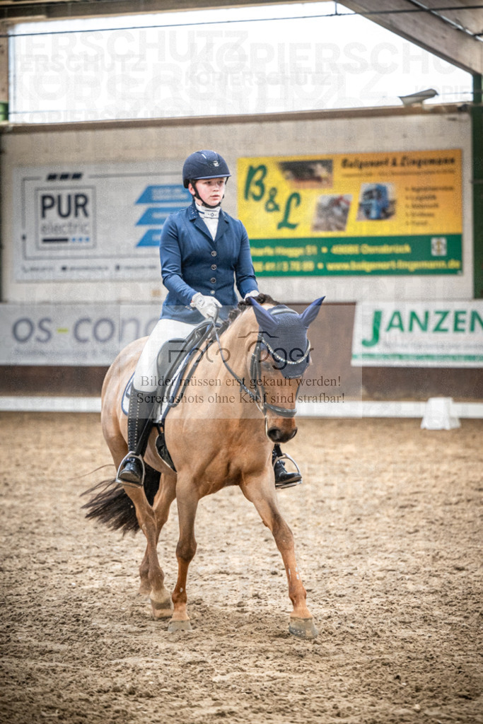 DOS_0960 | Entdecke hochwertige Reitturnierfotos von Foto Oger. Professionell, emotional und authentisch – jetzt Lieblingsmomente im Shop bestellen.Deutschlandweite Turnierfotografie. - Realisiert mit Pictrs.com