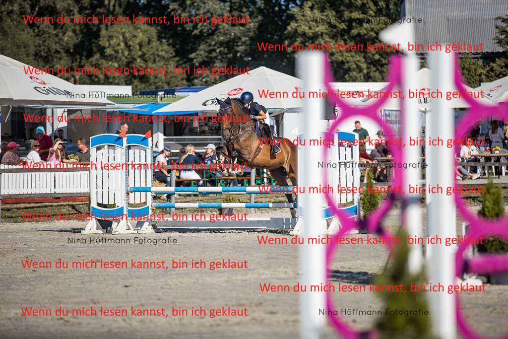 BK1A7441 | Turnierbilder Turnierfotos Nina Hüffmann Turnierfotografie Pferdefotografie Tierzeichnung Haustierzeichnung Pferdezeichnung Hundezeichnung Videograf  - Realisiert mit Pictrs.com