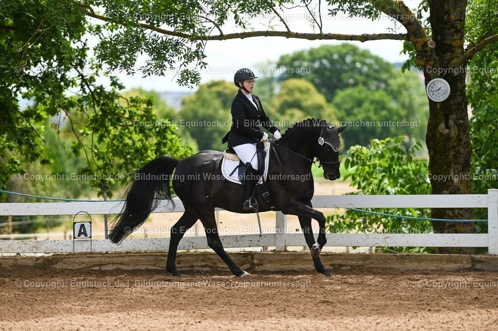 20230716_03_Dressurprfg. Kl.L - Tr._0192 | equistock