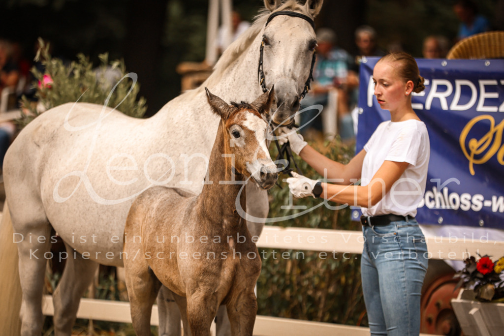 SaPA00068 | Leoni Ertmer Photography - Realisiert mit Pictrs.com