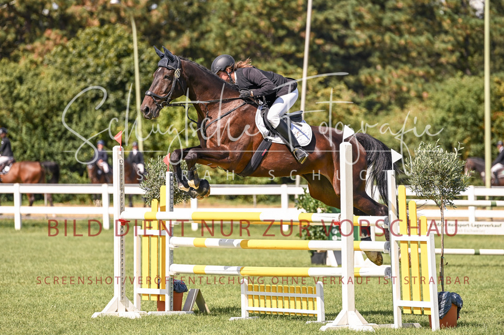 Schugtsche-Düren.2024-09.Springprf.L-117 | Schugtsche Fotografie - Realisiert mit Pictrs.com