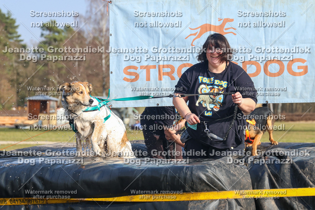 Dog Paparazzi - Strongdog North Mrz26-2928 | Dog Paparazzi Jeanette Grottendiek Fotografie & Videografie - Realisiert mit Pictrs.com