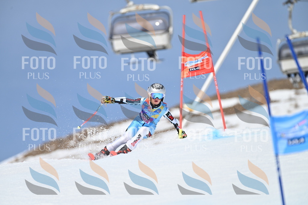 BGV_3161 | holidayphoto