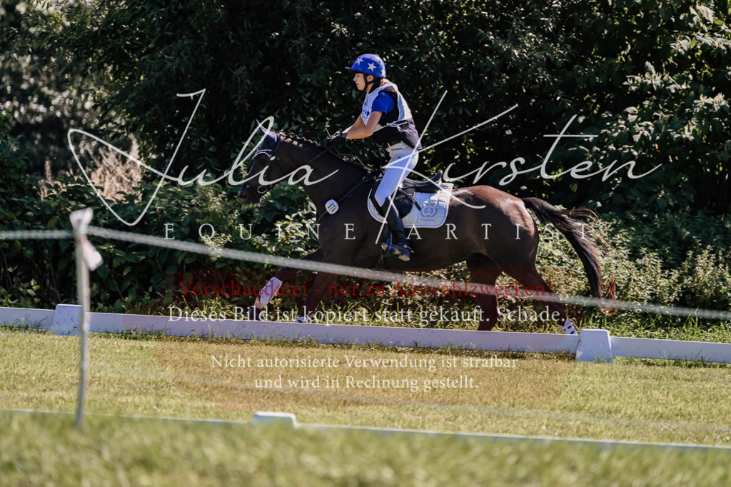 DSC_1673 | Pferde- und Turnierfotografie in Westsachsen. Pferdeportraits, Auftragszeichnungen und intuitive Kunst.