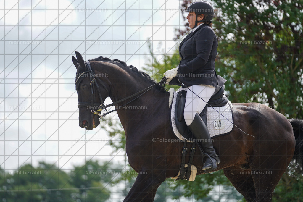 20230826-FAH05777 | Forstinning, 2023, Dressurturnier, Turniersportbilder, Turnierfotografen Bayern, Fotoagentur Herrmann, Reitsportfotografie, Turnierbilder