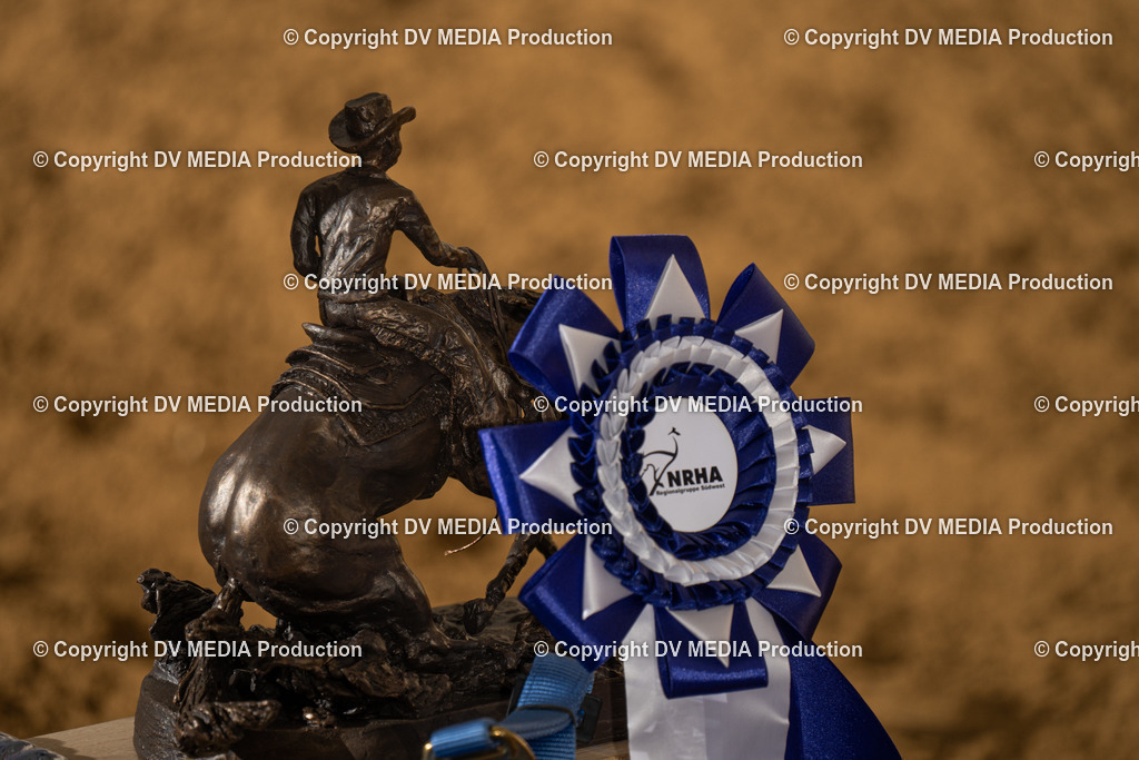 LAU01072 | dv-media-shop - Realisiert mit Pictrs.com