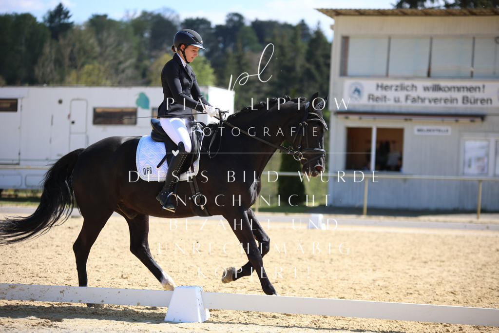 IMGT2646 | pl-fotografie