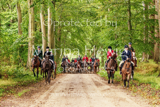Jagd Perdoel 26-03880_MarinaHewig | Fotografie, FotoArt, PferdesportArt, Pferdesportfotografie, Landschaftsfotografie, Reisefotografie, Reise, Pferde - Realisiert mit Pictrs.com