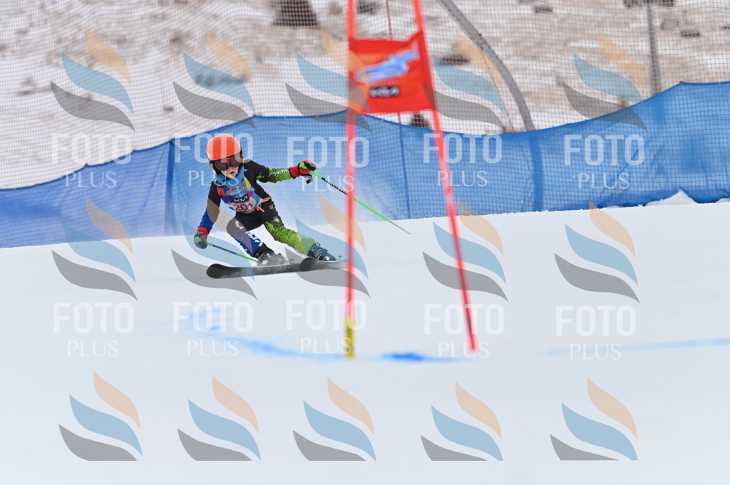 BGV_1932 | holidayphoto