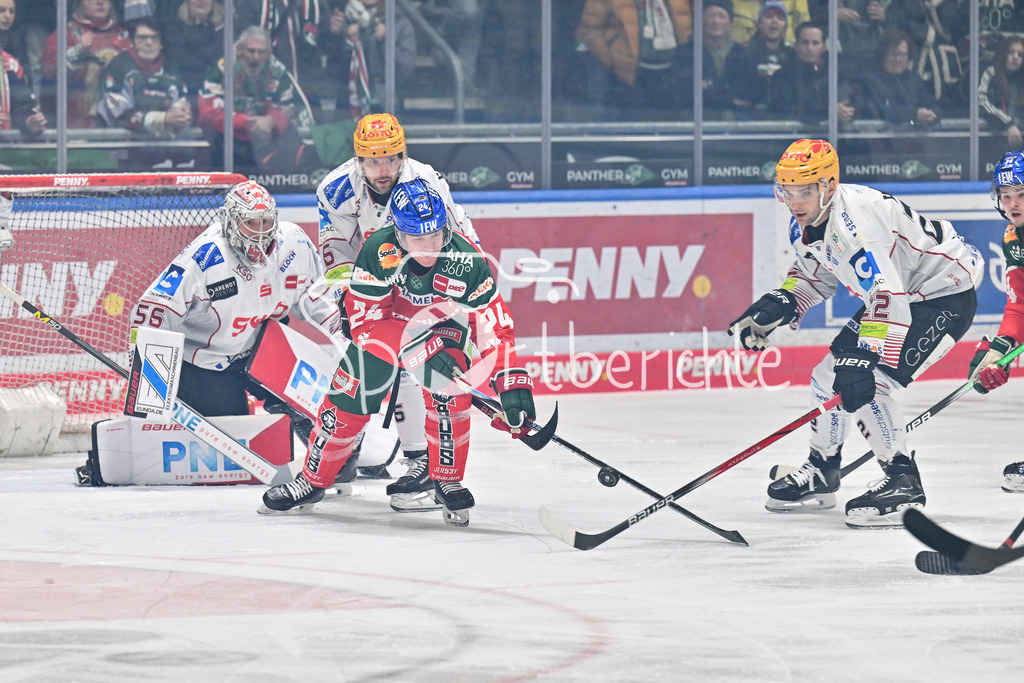 Augsburger Panther - Fischtown Pinguins | im Duell T. J. TREVELYAN (Augsburger Panther #24) und Vladimir EMINGER (Fischtown Pinguins 22) / Zweikampf / DEL: Augsburger Panther - Fischtown Pinguins, Curt Frenzel Stadion am 08.01.2025
