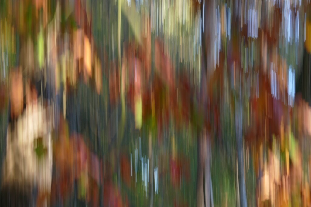 P4060203_a | Annaeherungen - Realisiert mit Pictrs.com
