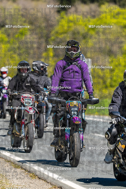 MSFotoServiceXXX420 | MSFotoService - Realisiert mit Pictrs.com