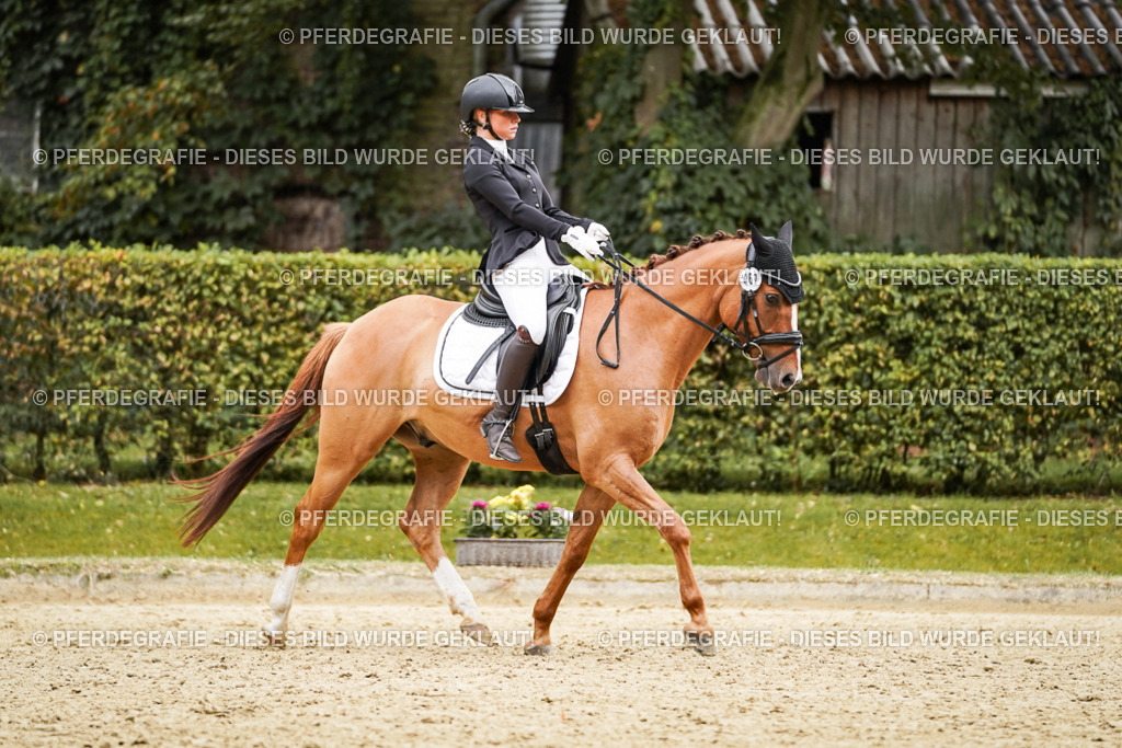 DSC08086 | Pferdegrafie