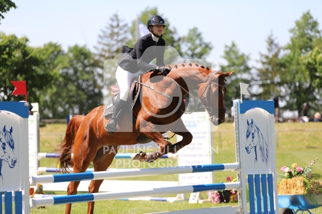 IMG_6142 | Pauline Ullmann Photography - Realisiert mit Pictrs.com