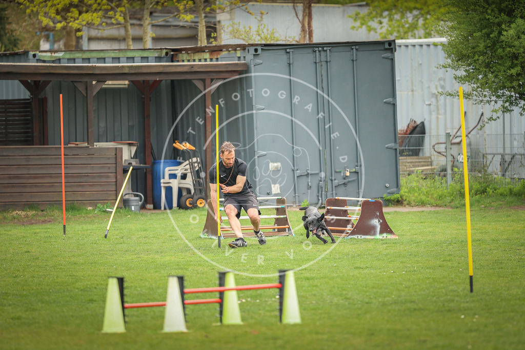 Pfotenfotografie_0L8A1351 | Hundefotografie, Tierfotograf, Pfotenfotografie, Fotoshooting Hund, Hunde Portrait, Hundesport, Hundeportraits, Heideshooting, Hunde, Sportfotograf, Hundefotograf, Turnierhundsport, THS,  - Realisiert mit Pictrs.com