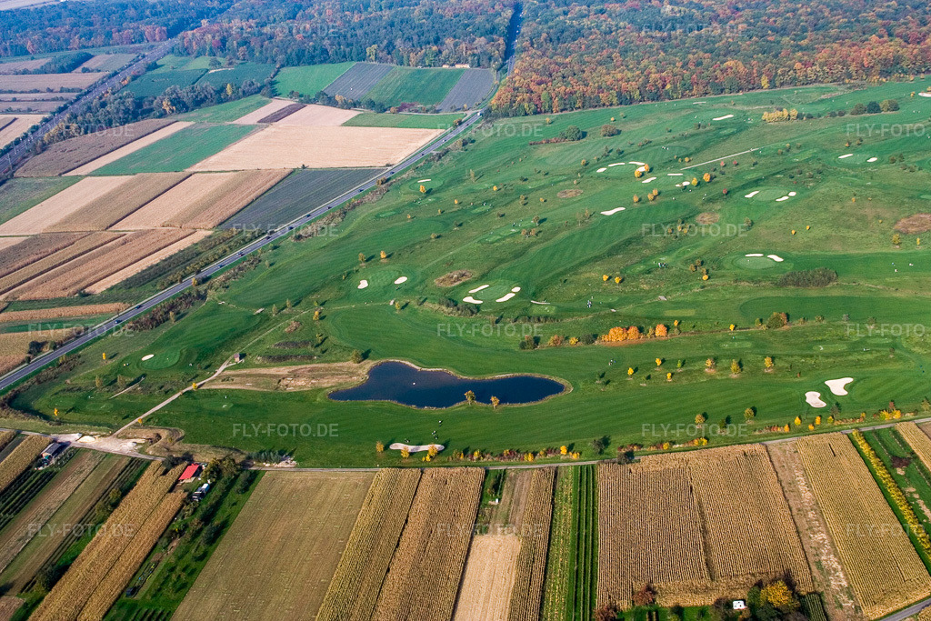 Luftbild: Urloffen, Golfclub Urloffen e.V im Ortsteil Urloffen in Appenweier im Bundesland Baden-Württemberg in Deutschland. Foto: IMG_13909.jpg vom 11.10.2008 durch Werner Riehm/FLY-FOTO.de