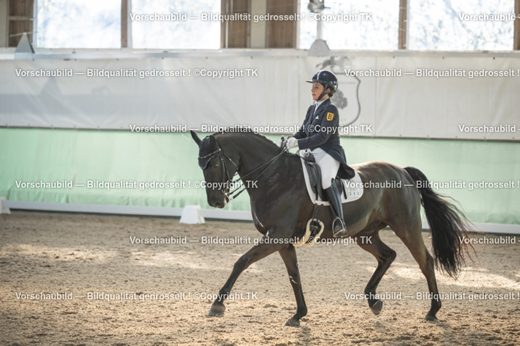 _D5A0530 | Emotionale Pferde- & People-Fotografie rund um Heidelberg, Leimen & Umgebung. Natürliche Fotos von Pferd, Mensch & Familie. Jetzt Termin sichern!