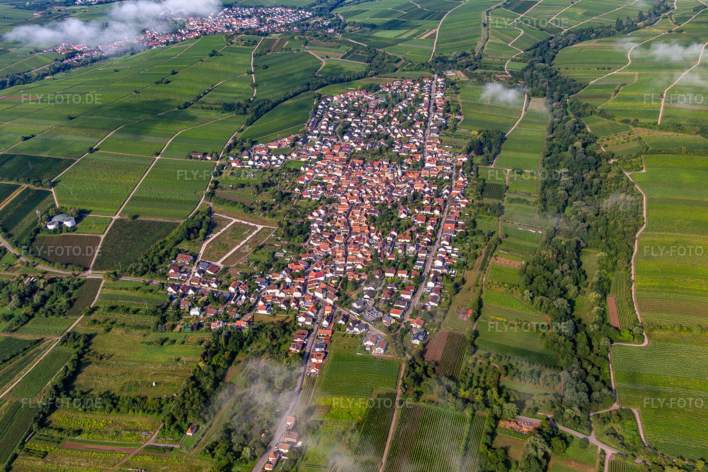 Luftbild: Ortschaft von Osten am Morgen unter Wolken im Ortsteil Arzheim in Landau im Bundesland Rheinland-Pfalz in Deutschland. Foto: IMG_142979.jpg vom 03.08.2024 durch Werner Riehm/FLY-FOTO.de