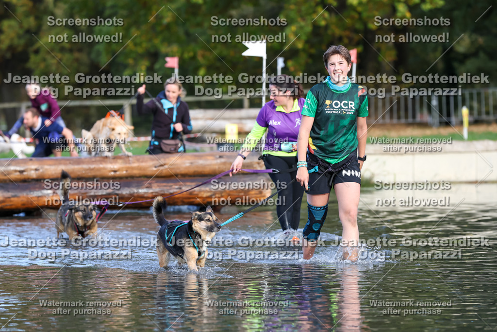 Dog Paparazzi - Strongdog 10-25-8281 | Dog Paparazzi Jeanette Grottendiek Fotografie & Videografie - Realisiert mit Pictrs.com