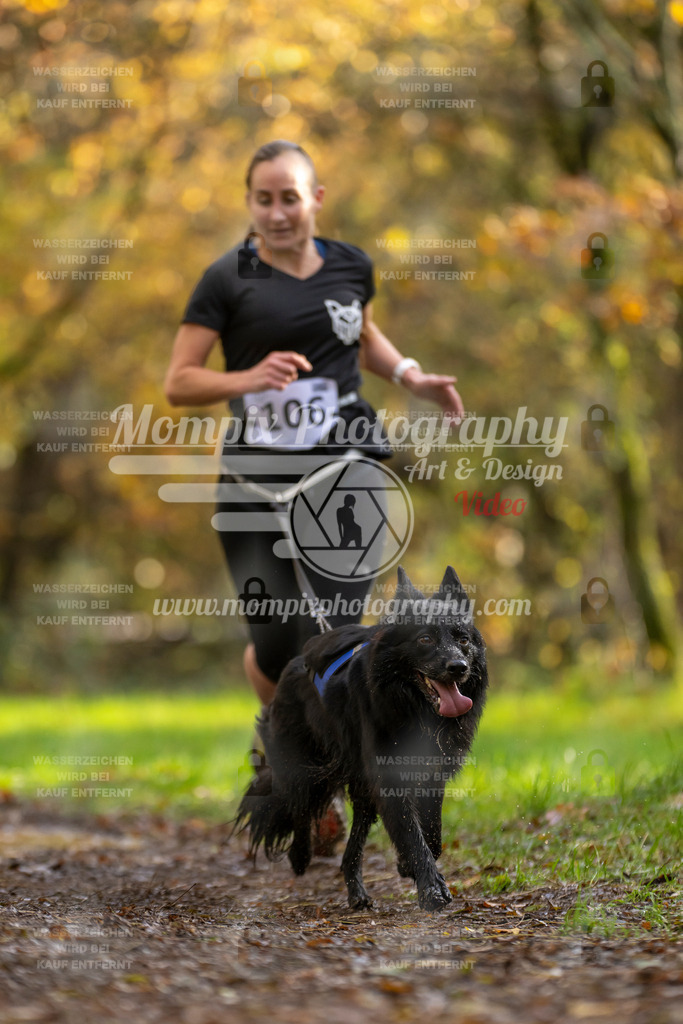 MompixPhotography_Bischwiller23_Canicross-71 | PayLife