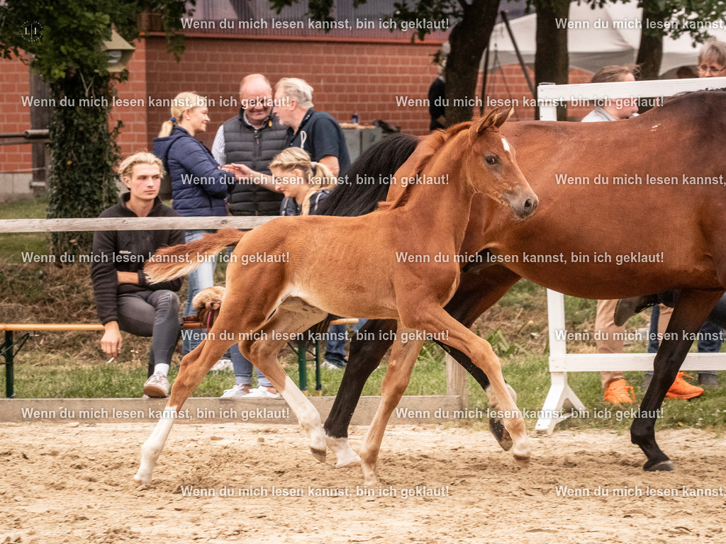 A10I5823 | photographylinaismer - Realisiert mit Pictrs.com