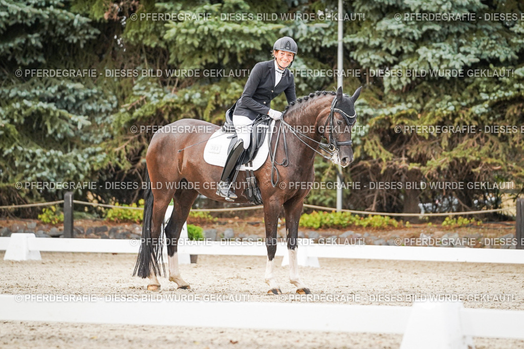 DSC09044 | Pferdegrafie