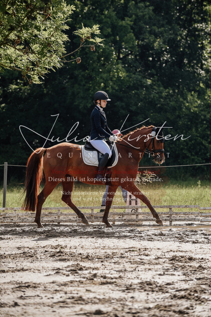 DSC_8833 | Pferde- und Turnierfotografie in Westsachsen. Pferdeportraits, Auftragszeichnungen und intuitive Kunst.