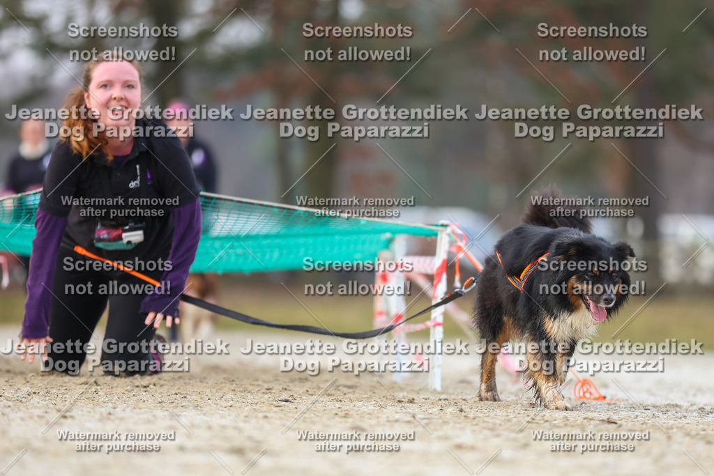 Dog Paparazzi - Strongdog North Mrz26-3875 | Dog Paparazzi Jeanette Grottendiek Fotografie & Videografie - Realisiert mit Pictrs.com