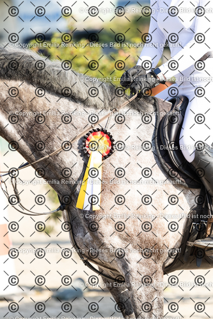 CL5A2369 | Emilia Reinking Fotografie - Realisiert mit Pictrs.com